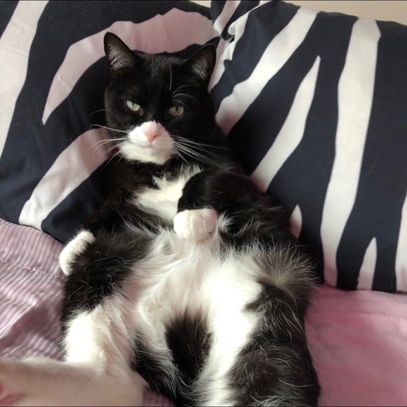 Meet your Posher, Julie - Picture 1 of 1